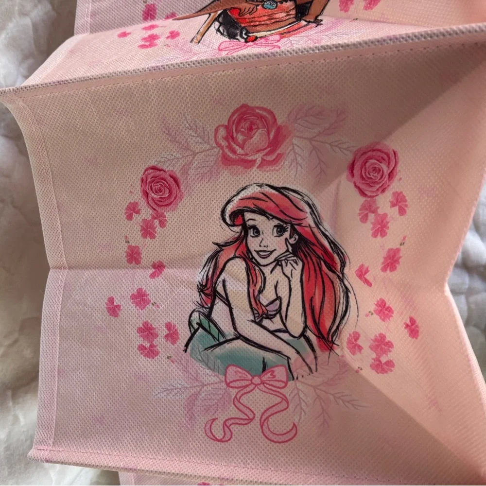 Disney Princess 6-Shelf Hanging Closet Organizer